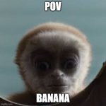 POV monky | POV; BANANA | image tagged in monky | made w/ Imgflip meme maker