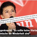 sahra wagenknecht afd