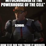 how else did you think it worked | "MITOCHONDRIA IS THE POWERHOUSE OF THE CELL"; SCHOOL | image tagged in how else did you think it worked,mitochondria is the powerhouse of the cell,school | made w/ Imgflip meme maker