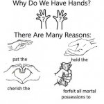 Why Do We Have Hands meme