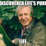 Life purpose | I'VE DISCOVERED LIFE'S PURPOSE; LIFE | image tagged in david attenborough natural habitat | made w/ Imgflip meme maker