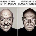 They turn black after 2 days smh | BANANAS AT MY HOUSE AFTER 2 DAYS; BANANAS AT THE STORE FOR 2 WEEKS | image tagged in dean norris happy and not happy,dean norris,memes,funny,fun,dank | made w/ Imgflip meme maker