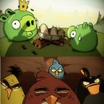 Angry birds mad at pigs