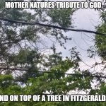 mother natures cross | MOTHER NATURES TRIBUTE TO GOD; FOUND ON TOP OF A TREE IN FITZGERALD, GA. | image tagged in gods glory,mother nature,christians | made w/ Imgflip meme maker