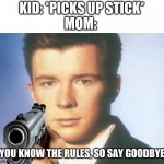 this is true | KID: *PICKS UP STICK*
MOM:; YOU KNOW THE RULES, SO SAY GOODBYE | image tagged in you know the rules and so do i say goodbye | made w/ Imgflip meme maker