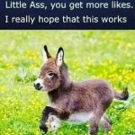 Little ass