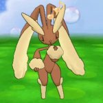 Lopunny meme