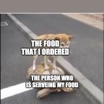 doge turtle | THE FOOD THAT I ORDERED; THE PERSON WHO IS SERVEING MY FOOD | image tagged in doge turtle | made w/ Imgflip meme maker