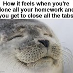 Feels good | How it feels when you're done all your homework and you get to close all the tabs | image tagged in memes,satisfied seal | made w/ Imgflip meme maker