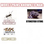 most painful things known to man meme