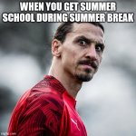 Summer School=Worst Summer Ever | WHEN YOU GET SUMMER SCHOOL DURING SUMMER BREAK | image tagged in zlatan ibrahimovic wtf,memes | made w/ Imgflip meme maker