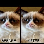 Grumpy Cat - before and after meme