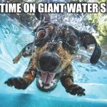 Big Mistake | 1ST TIME ON GIANT WATER SLIDE | image tagged in dog,water slide,noooooo,how do you stop this thing,funny,funny dog memes | made w/ Imgflip meme maker