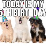 happy birthday puppies Meme Generator - Imgflip
