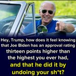 Joe Biden approval rating