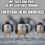 birds | ME: SAYS ONE PART OF MY SENTENCE WRONG; EVERYONE IN HE UNIVERSE: | image tagged in the bird gang | made w/ Imgflip meme maker