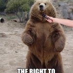 Political Opinion Bear | MR. BEAR, WHAT IS THE MOST IMPORTANT AMENDMENT? THE RIGHT TO HAVE MY BEAR ARMS. | image tagged in political opinion bear | made w/ Imgflip meme maker