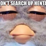Plz don't | DON'T SEARCH UP HENTAI | image tagged in furby meme,hentai,rule 34,furby,don't search,oh wow are you actually reading these tags | made w/ Imgflip meme maker