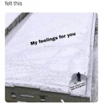 My feelings for you meme