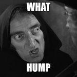 Igor | WHAT; HUMP | image tagged in marty feldman igor 2 | made w/ Imgflip meme maker