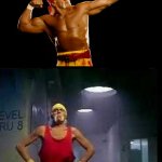 Hulk Hogan's meme