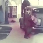 Bye Suitcase Car GIF Template