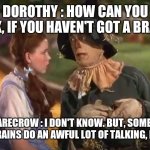 All Talk No Brains | DOROTHY : HOW CAN YOU TALK, IF YOU HAVEN'T GOT A BRAIN? THE SCARECROW : I DON'T KNOW. BUT, SOME PEOPLE WITHOUT BRAINS DO AN AWFUL LOT OF TALKING, DON'T THEY? | image tagged in dorothy and the scarecrow | made w/ Imgflip meme maker