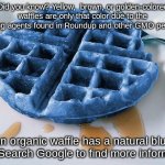 the more you know | Did you know? Yellow,  brown, or golden-colored waffles are only that color due to the bleaching agents found in Roundup and other GMO pesticides. An organic waffle has a natural blue color. Search Google to find more information. | image tagged in the more you know,fun fact,memes,funny | made w/ Imgflip meme maker