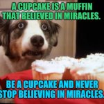 Be a cupcake | A CUPCAKE IS A MUFFIN THAT BELIEVED IN MIRACLES. BE A CUPCAKE AND NEVER STOP BELIEVING IN MIRACLES. | image tagged in cupcake dog | made w/ Imgflip meme maker