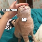 cat pat | INTERNET POINTS; ME | image tagged in cat pat | made w/ Imgflip meme maker