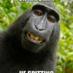 monkE | LOVE HIM OR HATE HIM; HE SPITTING OUT STRAIGHT FACTS | image tagged in funny monkey | made w/ Imgflip meme maker
