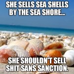 Sea shells | SHE SELLS SEA SHELLS BY THE SEA SHORE... SHE SHOULDN'T SELL SHIT SANS SANCTION. | image tagged in sea shells | made w/ Imgflip meme maker