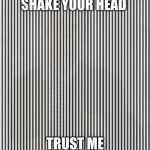 shake it NOW | SHAKE YOUR HEAD; TRUST ME | image tagged in shake your head | made w/ Imgflip meme maker