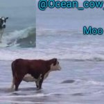 soap's ocean cow temp (ty yachi ^^)