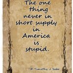 Stupid | The one
 thing
 never in 
short supply 
in 
America 
is 
stupid. © Timothy J. Sabo | image tagged in stupid,america,supply,no shortage | made w/ Imgflip meme maker