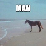 MAN | MAN | image tagged in man horse water,man,horse,stolen meme | made w/ Imgflip meme maker
