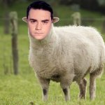 ben sheepiro