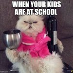 pop out the wine | WHEN YOUR KIDS ARE AT SCHOOL | image tagged in quarantine friday bitches,wine,cat,memes,school meme,parents | made w/ Imgflip meme maker