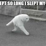 lil kitty cute haha | JEEZ I SLEPT SO LONG I SLEPT MY ASS OFF. | image tagged in lil kitty cute haha | made w/ Imgflip meme maker