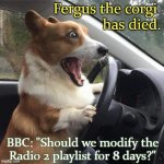 Passing puppy | Fergus the corgi 
has died. BBC: "Should we modify the Radio 2 playlist for 8 days?" | image tagged in rage corgi,corgi,british royals,royal family,broadcaster,respect | made w/ Imgflip meme maker
