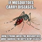 Mosquitoes carry diseases | IF MOSQUITOES CARRY DISEASES... HOW STRONG WERE THE MOSQUITOES WHO CARRIED THE BOYS IN MY CLASS? | image tagged in mosquito | made w/ Imgflip meme maker