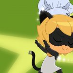 Cat noir dab