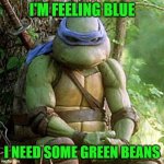 Sad Ninja Turtle | I'M FEELING BLUE; I NEED SOME GREEN BEANS | image tagged in sad ninja turtle | made w/ Imgflip meme maker