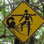 Weird Water Sign