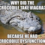 Bad joke croc | WHY DID THE CROCODILE TAKE VIAGRA? BECAUSE HE HAD CROCODILE DYSFUNCTION. | image tagged in crocodile,memes,bad joke,viagra,bad pun,swamp | made w/ Imgflip meme maker