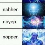 No conjugations meme