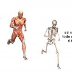 muscles chasing skeleton
