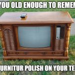Are you old enough? | ARE YOU OLD ENOUGH TO REMEMBER; PUTTING FURNITUR POLISH ON YOUR TELEVISION? | image tagged in wood television | made w/ Imgflip meme maker