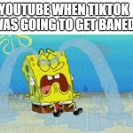 cryin | YOUTUBE WHEN TIKTOK WAS GOING TO GET BANED | image tagged in cryin | made w/ Imgflip meme maker