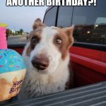 Another birthday?? | ANOTHER BIRTHDAY?! LITTLE JOHNNY | image tagged in another birthday | made w/ Imgflip meme maker